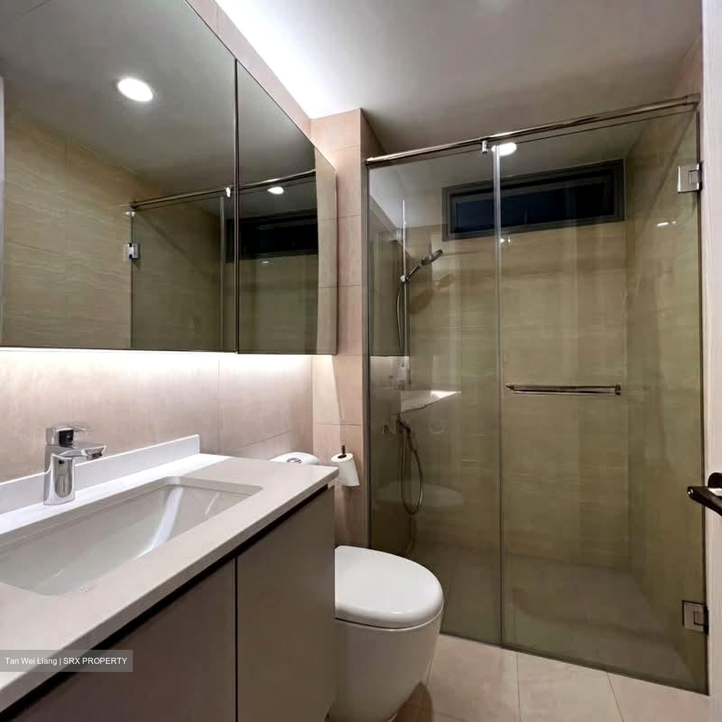 A Treasure Trove (D19), Condominium #592998481